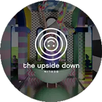 THE UPSIDE DOWN