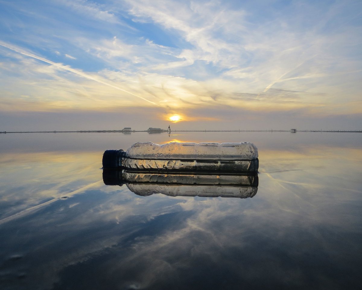 Plastikflasche treibt im Wasser, Kampagne für flustix